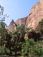Temple of Sinawava, Zion Canyon, Zion National Park, Utah