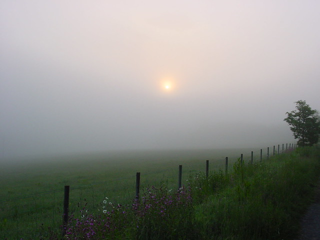 Misty sunrise