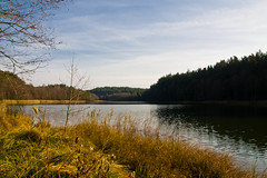 Taramo ežeras