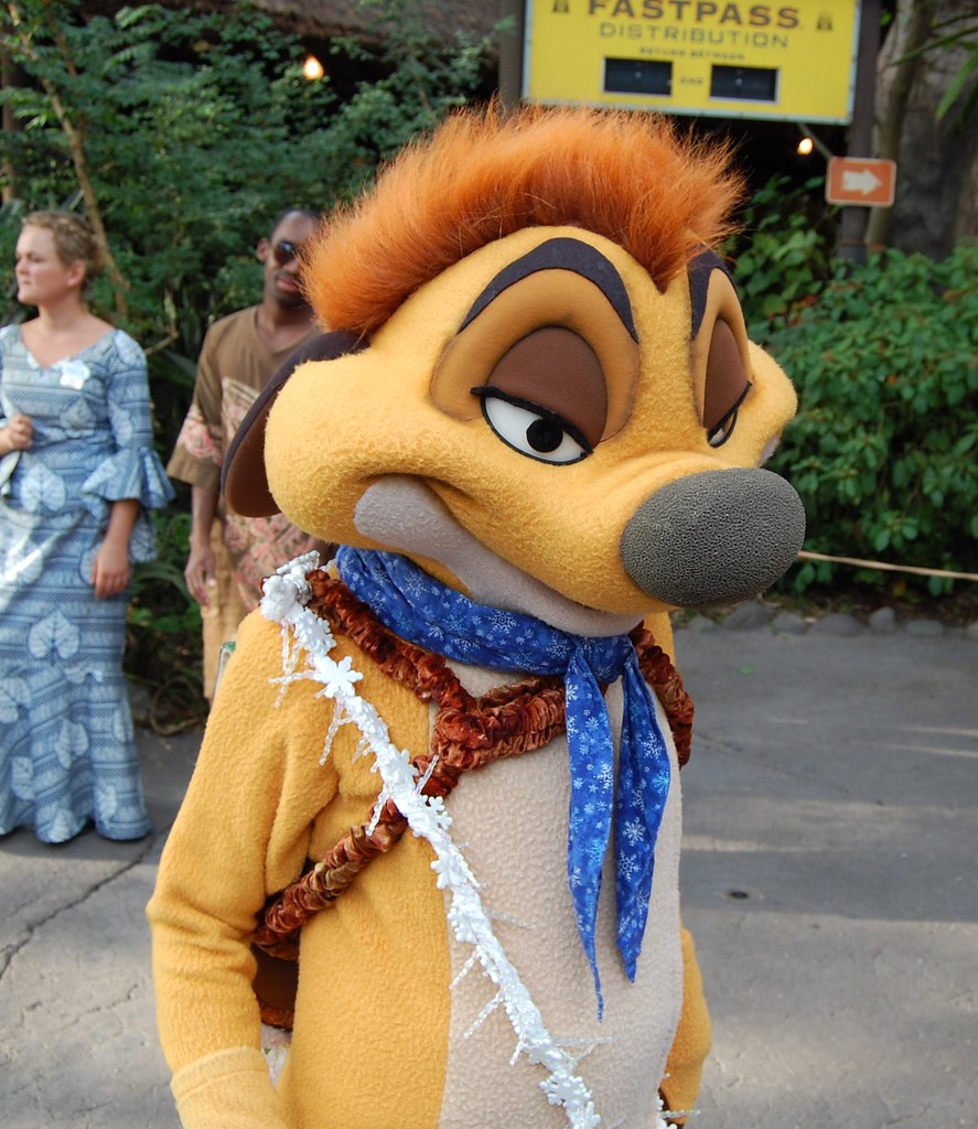 Animal Kingdom - Walt Disney World | Timon during Mickey's J… | Flickr