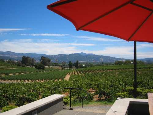 california red view wine terrace sonoma winery patio grapes vinyard