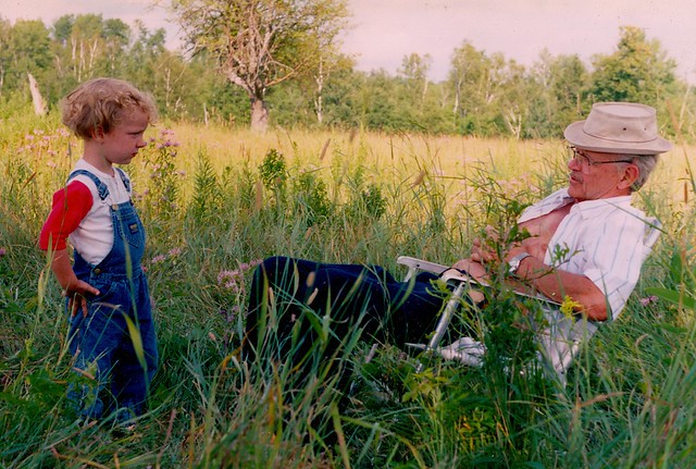 Farm 1993