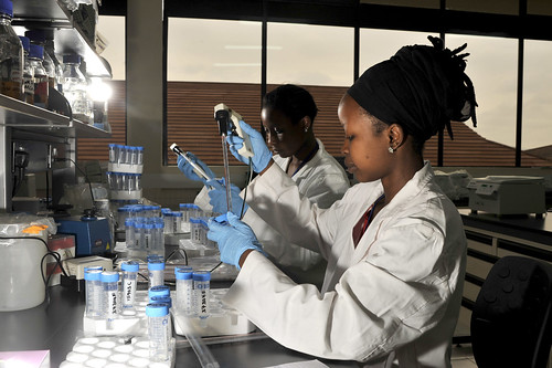 Aug/2010 - Women working in the advanced animal health laboratories of ILRI, in Nairobi, Kenya (photo credit: ILRI/David White).