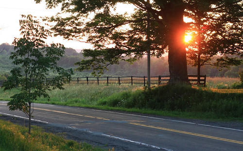 road sunset tree fence farm