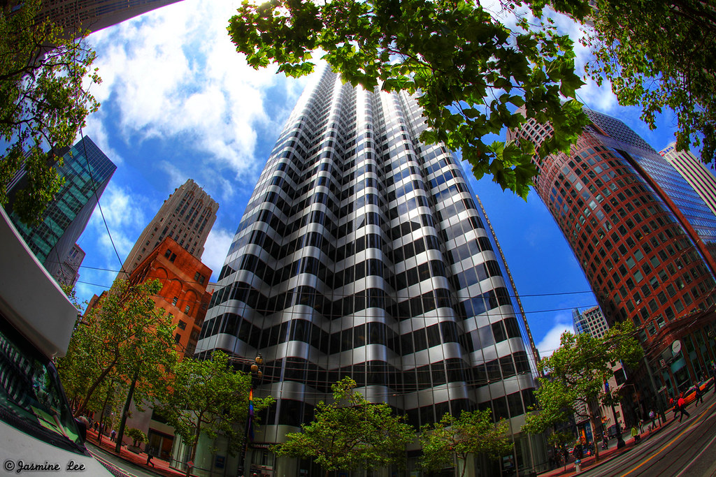 Photo of the Day: June 25, 2010 - "My Concrete Jungle" by jasmineleephotography.com