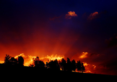 trees clouds sunrise golfcourse sunrays excapture
