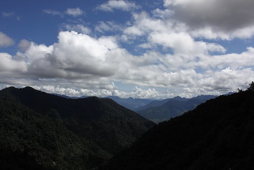 bhutan monka