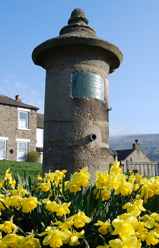 Daffodils round the Pump | by Sylvia Slavin ARPS (woodelf)