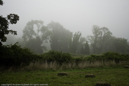 morning summer nature fog sunrise landscape flora haybails canoneos350 ridgefieldtownpasture ©andhuballrightsreserved