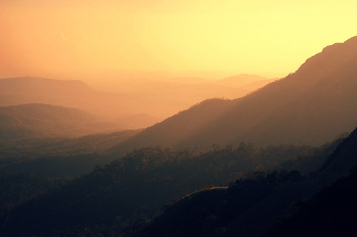 mist mountains bravo eveningsun kerala southindia ponmudi specland abigfave flickrplatinum seemakk