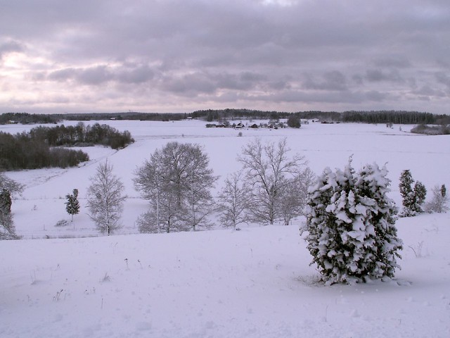 Selaön. Landscape at Åsa gravfält. 5
