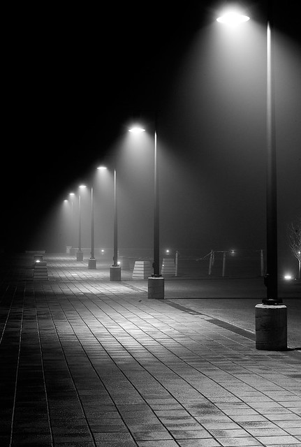 Lamp Posts In Fog