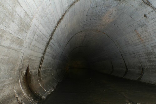 Echo Tunnel | by twiggles