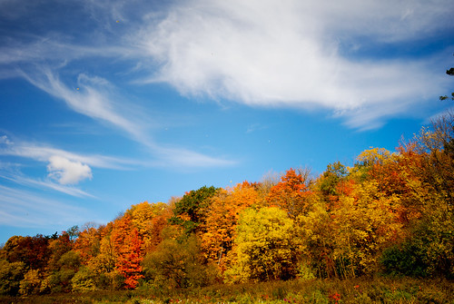 autumn toronto ontario fall leaves colours hiking trail mississauga googleearth volume5 93793499n00