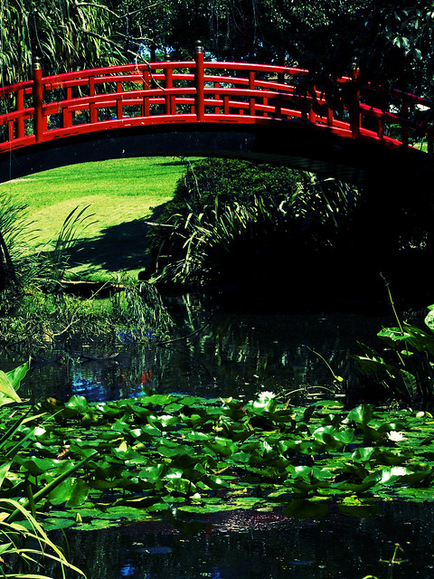 Wollongong Botanic Gardens Kawasaki Bridge - acid action