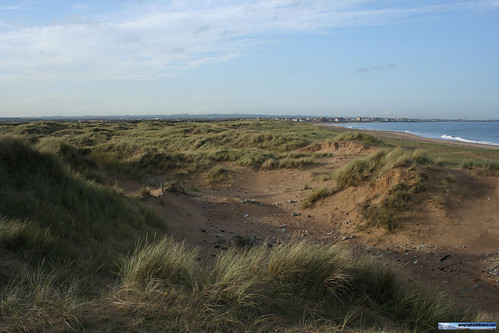 North Gare Sand Dunes - First Dune Ridge and Blow Out