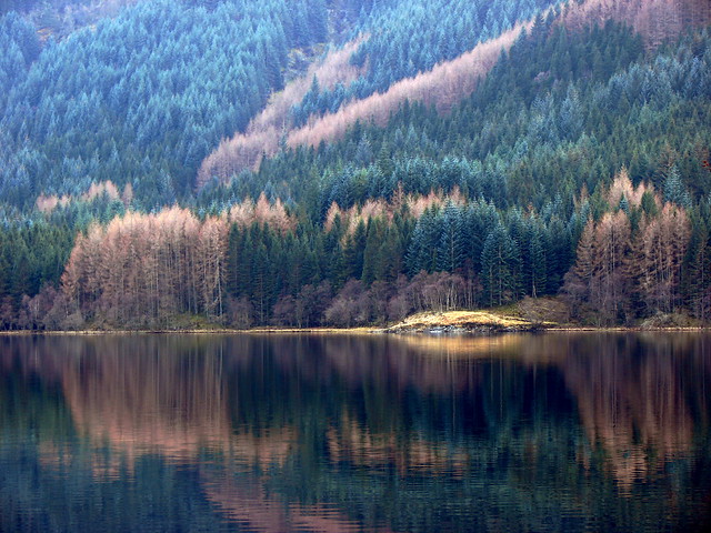 Loch Chon Reflections
