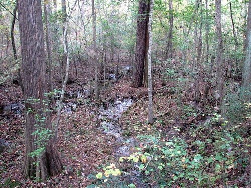 park nc neuse cliffsoftheneuse