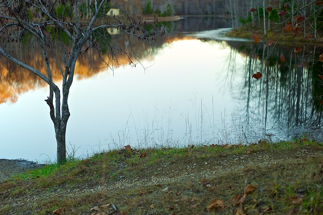 Creech Hollow Lake, TN