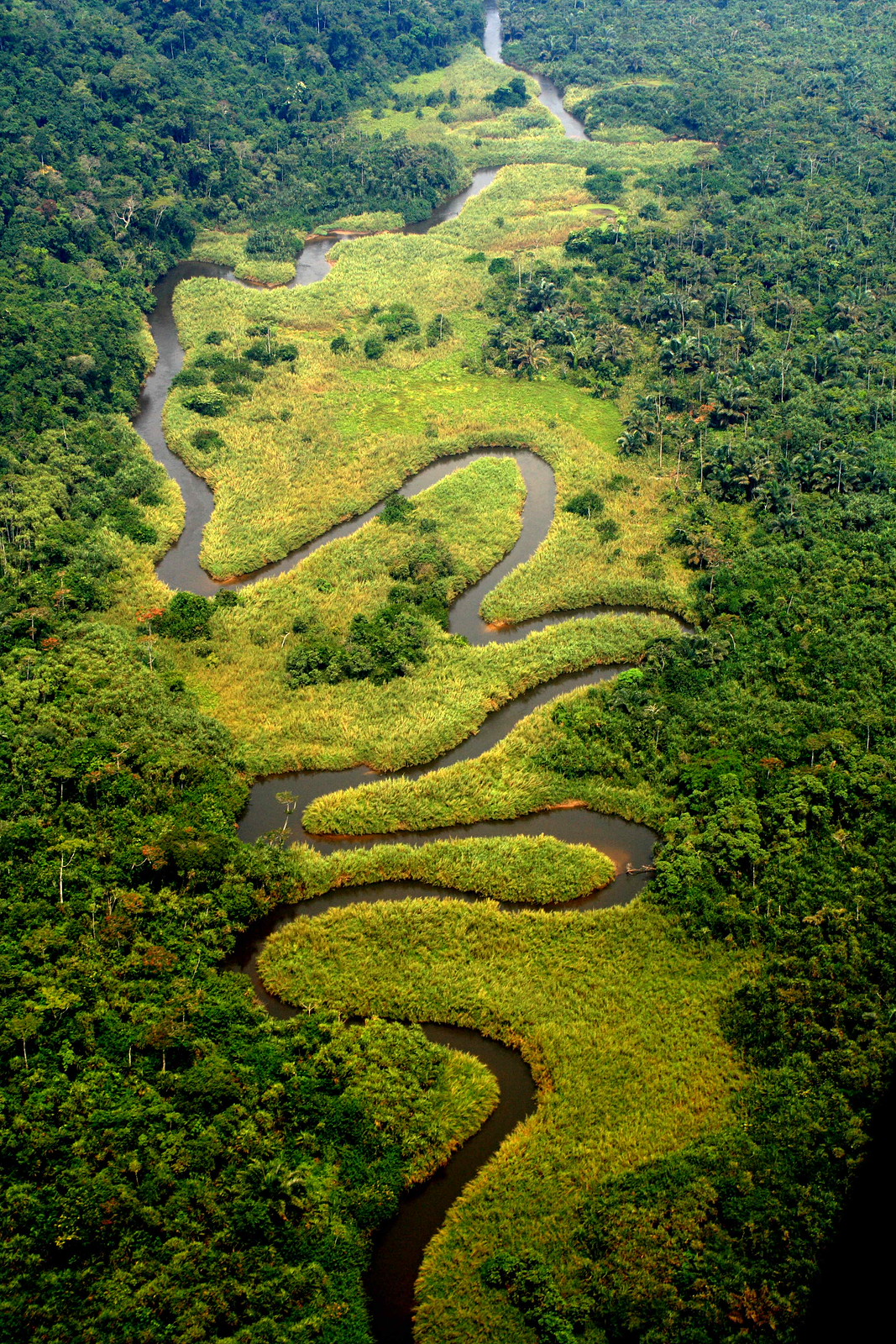 meanders | Flickr