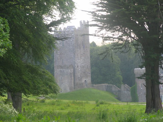 Drishane Castle