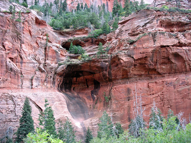South Fork of Taylor Creek, Zion