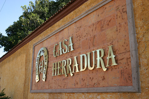 Casa Herradura | by nathangibbs