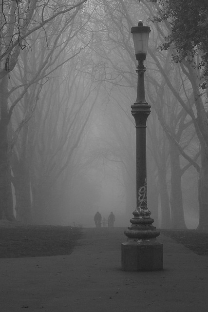 Fog In The Park_03
