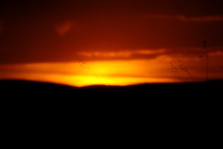 Denali Sunset