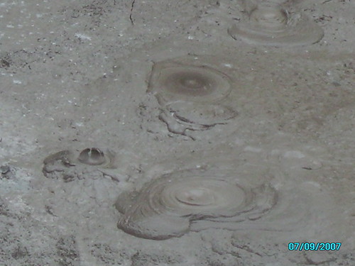 mudpools, kokende | by eriksenrenate