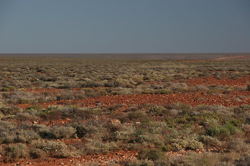 Outback, Australia | by forestlake