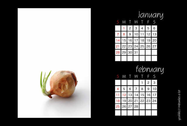 2007 calendar set ---  Jan&Feb