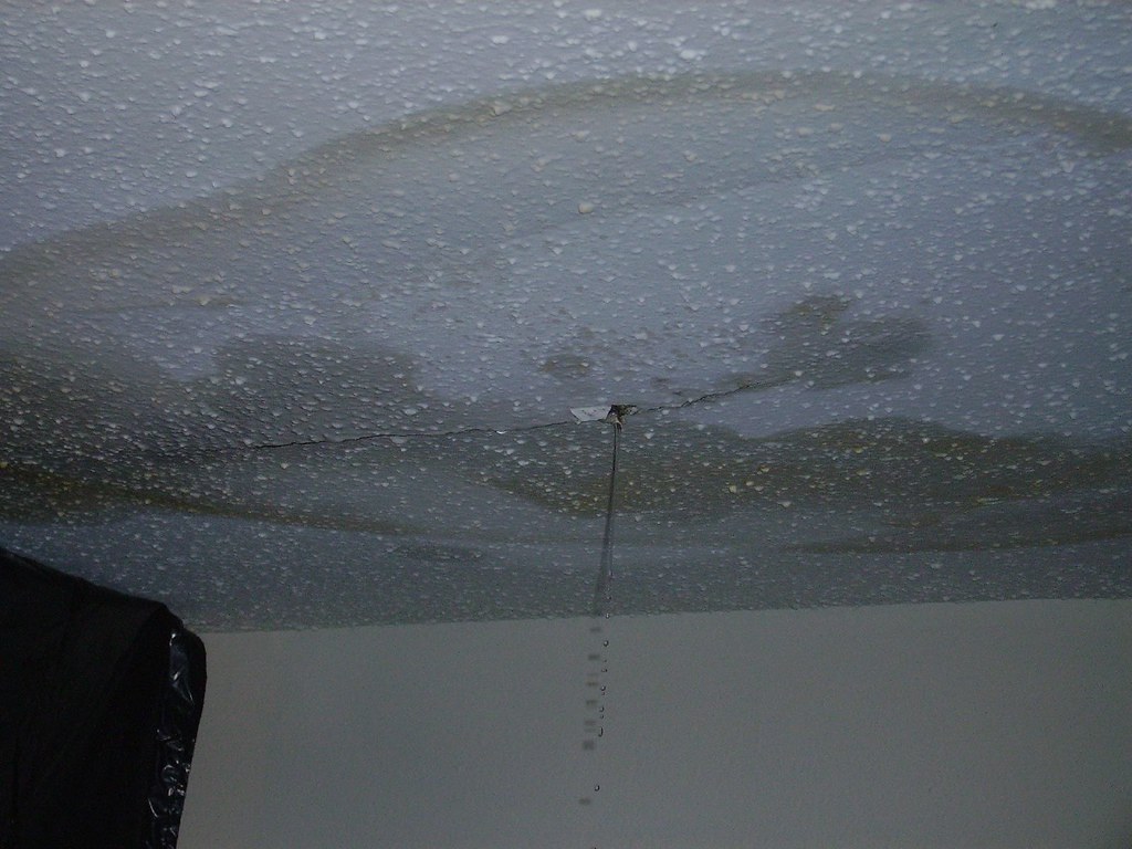 Ceiling Leak 002 | Ceiling leak caused by roof leak, due to … | Flickr