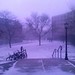 Cornell University in snow
