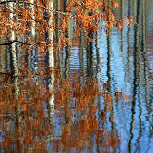 blue autumn red color reflection fall nature water countryside natureselegantshots sony350 fleursetpaysages