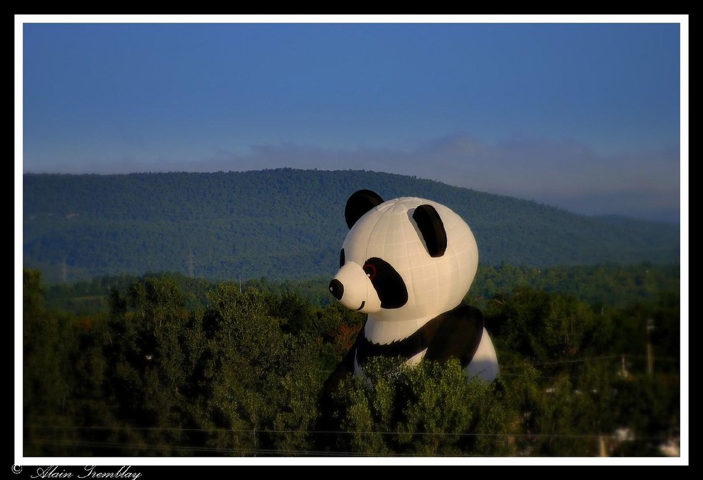 Alert , there is a Panda free in the city/ Attention , il y a un Panda libre dans la ville by beluga 7