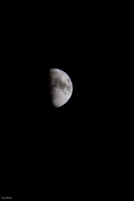 luna-1.jpg