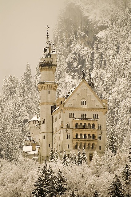 Neuschwanstein's castle