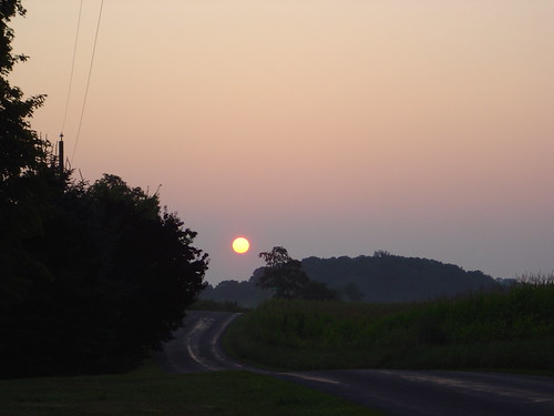 DSC00364 by foresthillllamas, Sunrise on Sugar Loaf Roadroad sunrise sugar loaf