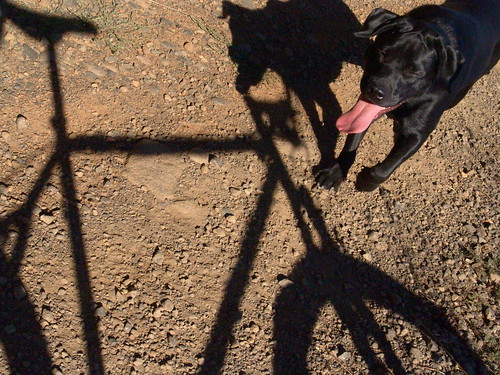 dog tongue bike shadow | by Biketinker