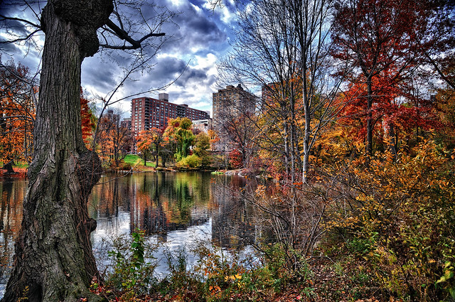 Central Park - Late Autumn