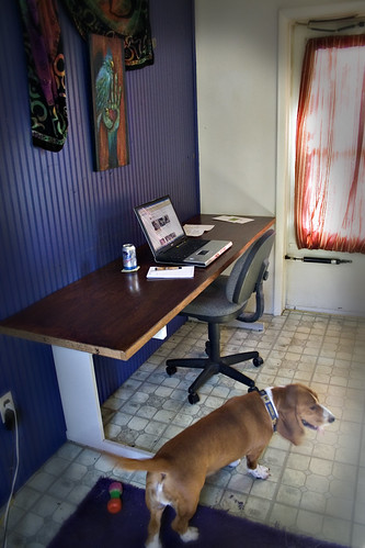 More work, New space... | by SerialCoder