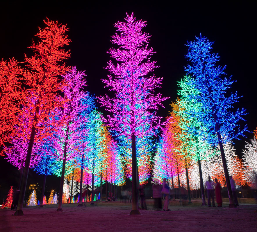 Neon Colorful Tree 002