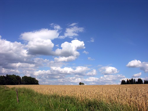 germany thuringia village bürden grain field tree sky cloud landscape corn landschaft autumnallandscape herbstlichelandschaft landschaftimherbst cloudysky bewölkterhimmel wolke wolkig getreide
