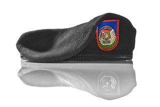 U.S. Air Force - Tactical Air Control Party (TACP) Beret