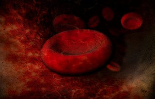 Blood Cells | by Andrew Mason