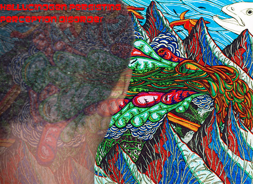 Hallucinogen Persisting Perception Disorder | by illogicalperception