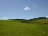 Briones