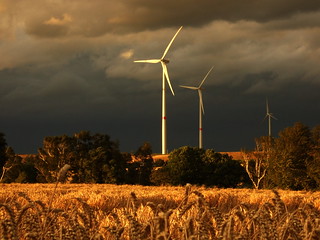 Windmills in stormy evening