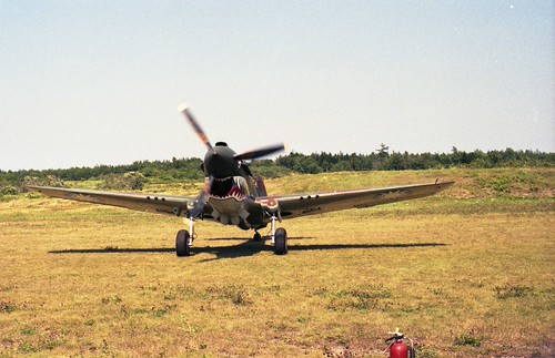 P-40 | by doglock75
